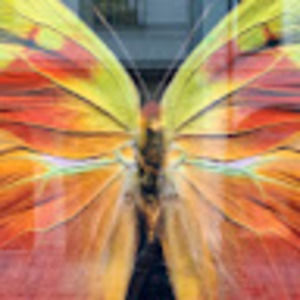 Meet your Posher, Lmnop